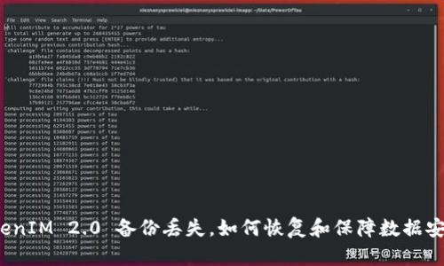 TokenIM 2.0 备份丢失，如何恢复和保障数据安全？