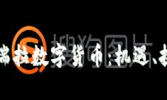 深入了解委内瑞拉数字货