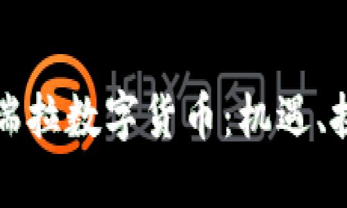 深入了解委内瑞拉数字货币：机遇、挑战与未来发展
