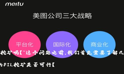 在讨论“tokenim里fil能挖矿吗？”这个问题之前，我们首先需要了解几个关键词的含义与背景。

### tokenim项目中的FIL挖矿是否可行？
