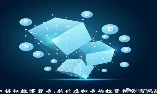 
红裤衩数字货币：新兴虚拟币的投资机会与风险