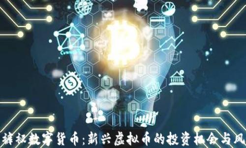 
红裤衩数字货币：新兴虚拟币的投资机会与风险