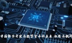 中国软件开发与数字货币