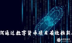 如何通过数字货币项目有