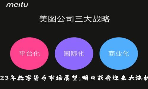 2023年数字货币市场展望：明日或将迎来大涨机会