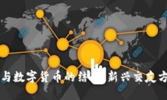 相亲网站与数字货币的结