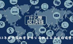2023年菲律宾数字货币公司