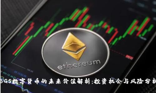 BGS数字货币的未来价值解析：投资机会与风险分析