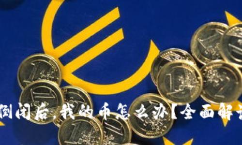 IM 2.0公司倒闭后，我的币怎么办？全面解读与应对策略