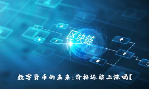 数字货币的未来：价格还能上涨吗？