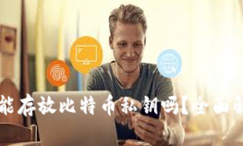 ### IM2.0钱包能存放比特币私钥吗？全面解析IM2.0钱包功能