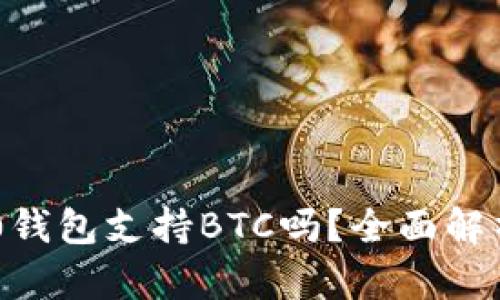 ### im2.0钱包支持BTC吗？全面解析及使用指南