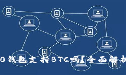 ### im2.0钱包支持BTC吗？全面解析及使用指南
