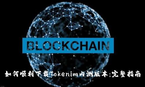 如何顺利下载Tokenim内测版本：完整指南