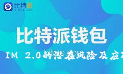 ### IM 2.0的潜在风险及应对策略