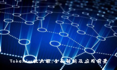Tokenim放大额：全面解析及应用前景