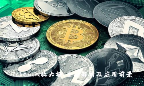Tokenim放大额：全面解析及应用前景