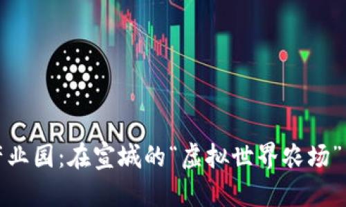 数字货币产业园：在宣城的“虚拟世界农场”中收获未来