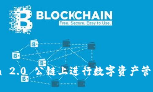 如何在 imToken 2.0 公链上进行数字资产管理：你的完整指南