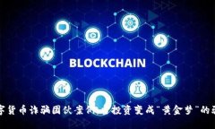 数字货币诈骗团伙案例：