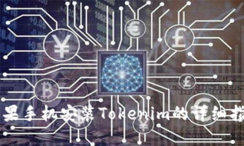 苹果手机安装Tokenim的详细指南