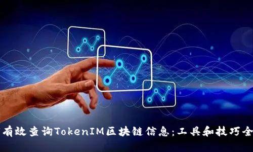 如何有效查询TokenIM区块链信息：工具和技巧全解析