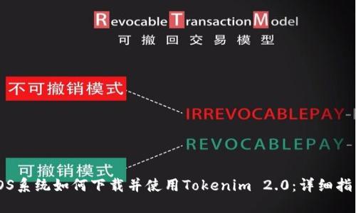 iOS系统如何下载并使用Tokenim 2.0：详细指南