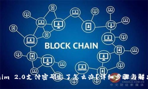 Tokenim 2.0支付密码忘了怎么办？详细步骤与解决方案