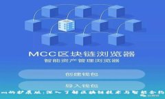 Tokenim的扩展版：深入了解