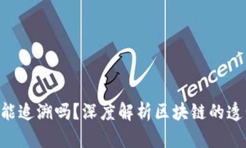 Tokenim转账能追溯吗？深度解析区块链的透明性与隐私性