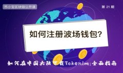 如何在中国大陆下载Toke