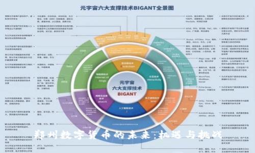 郑州数字货币的未来：机遇与挑战