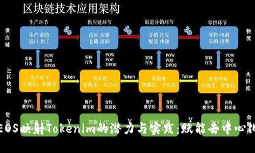 探索EOS映射Tokenim的潜力与实践：赋能去中心化未来