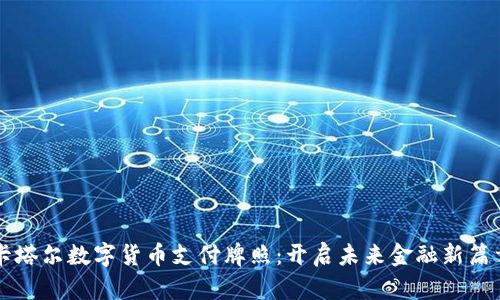 卡塔尔数字货币支付牌照：开启未来金融新篇章