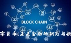 数字货币：未来金融的钥