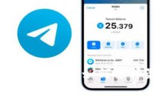 Tokenim矿工费快慢区别：如