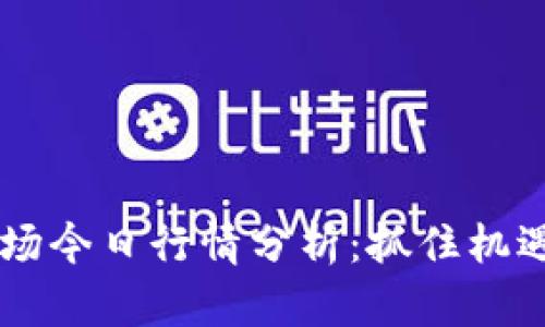 数字货币市场今日行情分析：抓住机遇，把握未来！