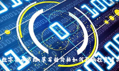 探索数字货币市场：草莓糖价格如何影响投资者决策？