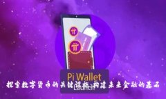 探索数字货币的关键设施