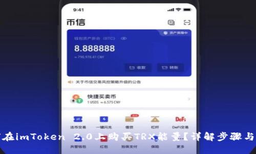 如何在imToken 2.0上购买TRX能量？详解步骤与技巧
