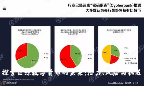探索巨鲸数字货币的未来：潜力、风险与机遇