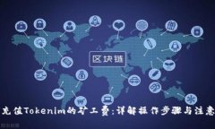 如何充值Tokenim的矿工费：