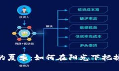 数字货币的夏季：如何在