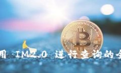 如何使用 IM2.0 进行查询的