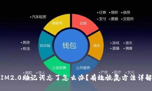 IM2.0助记词忘了怎么办？有效恢复方法详解