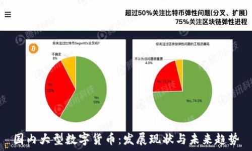   
国内大型数字货币：发展现状与未来趋势