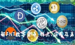 深入理解FNT数字货币：特