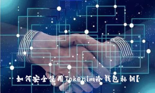 如何安全使用Tokenim冷钱包私钥?