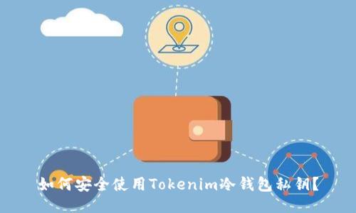 如何安全使用Tokenim冷钱包私钥?