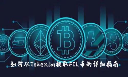 如何从Tokenim提取FIL币的详细指南